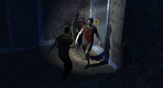 images (12).jpeg